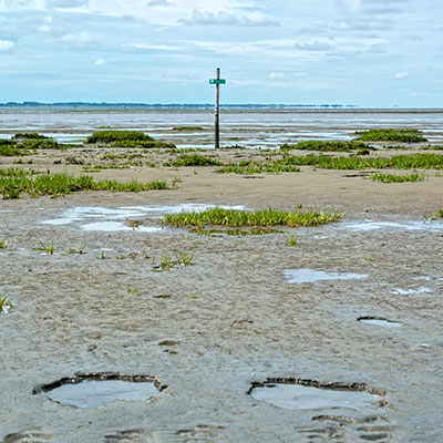 oostvoorne1