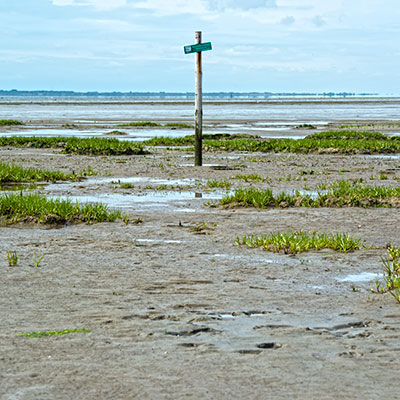 oostvoorne2