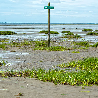 oostvoorne3